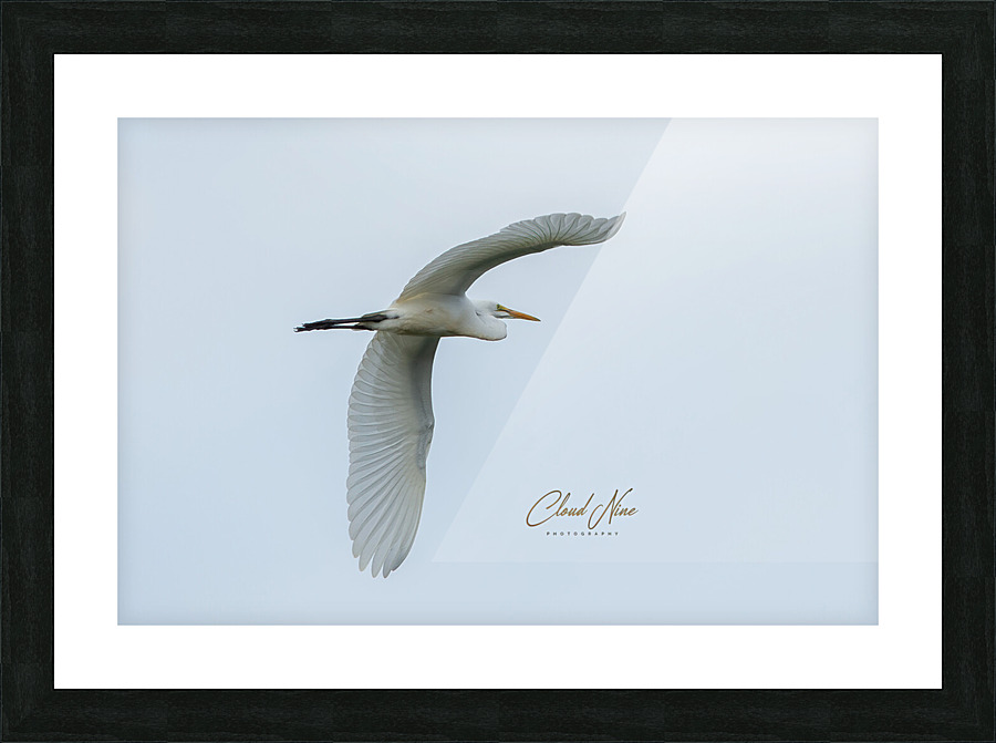 NHTI 9 Picture Frame print