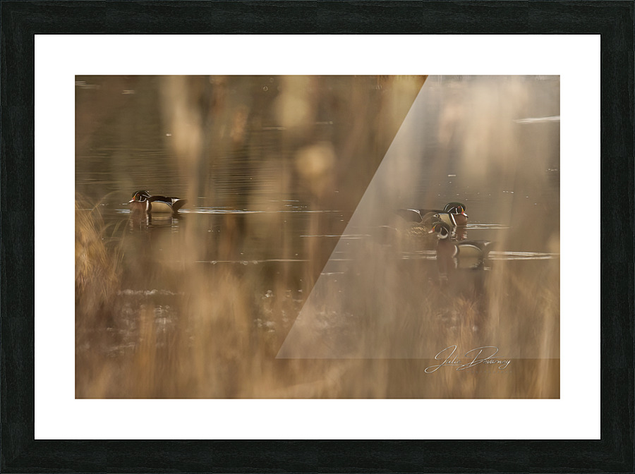 WoodDuck Picture Frame print
