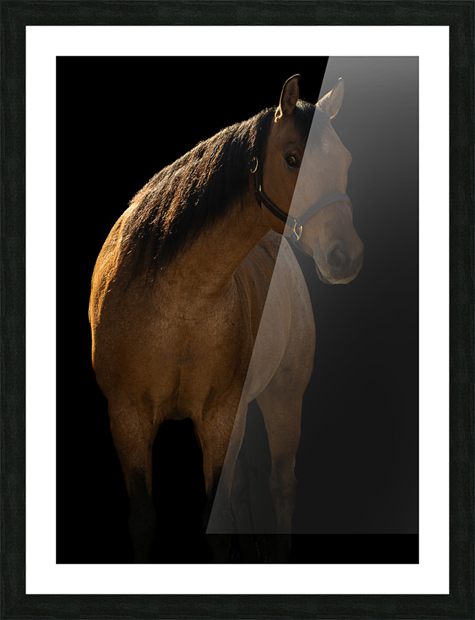 TTF Fall 2 2 Picture Frame print