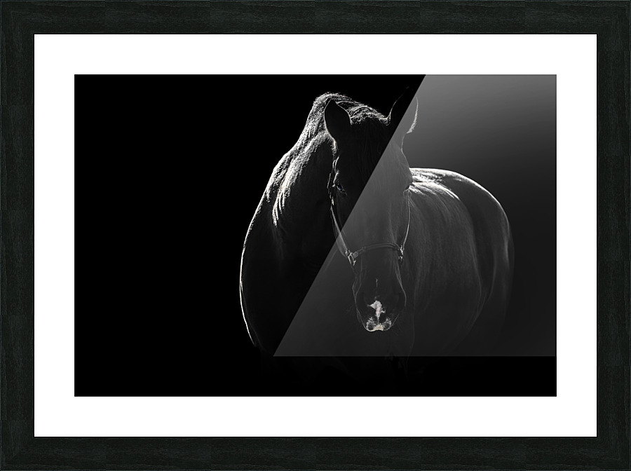 TTF Fall 16 Picture Frame print