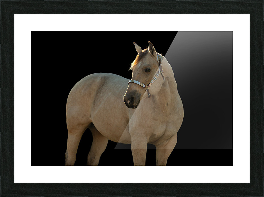 TTF Fall 3 Picture Frame print
