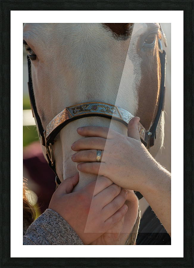 TTF Fall 5 Picture Frame print