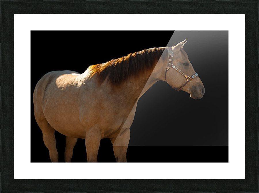 TTF Fall 8 Picture Frame print