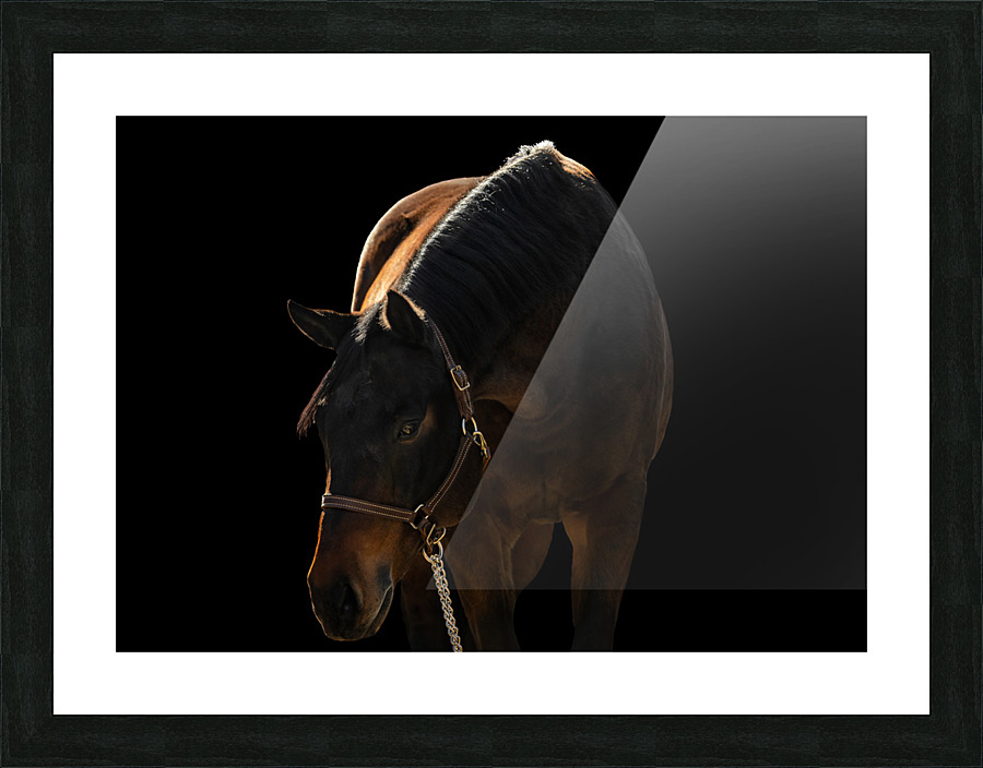 TTF Fall 14 Picture Frame print