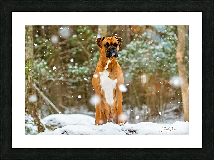 Michelle 12 Picture Frame print