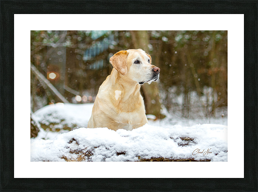 Michelle 9 Picture Frame print