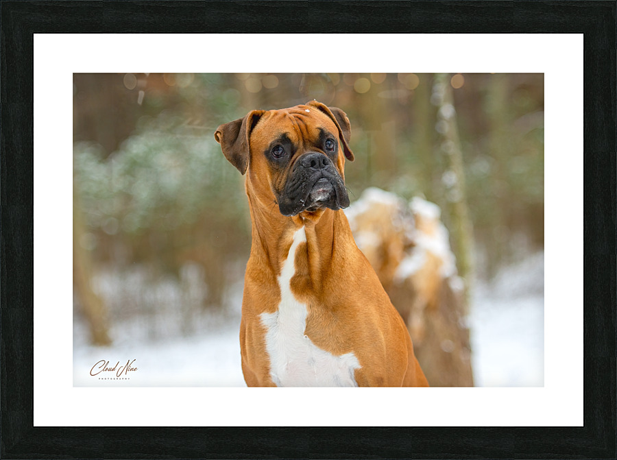 Michelle 13 Picture Frame print