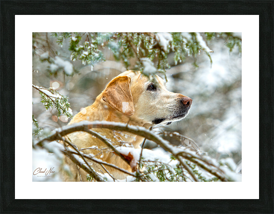 Michelle 17 Picture Frame print