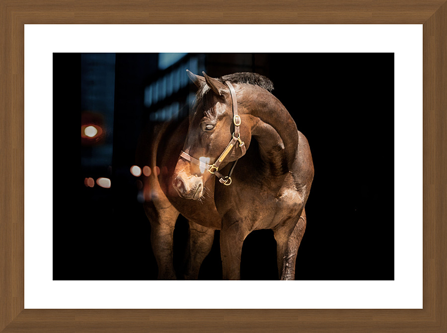 Benny 6 Picture Frame print