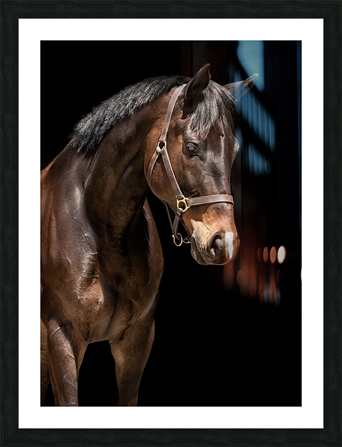 Benny 5 Picture Frame print