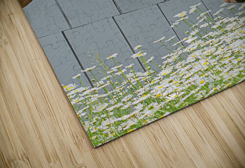 Whisky Cloud Nine Photography puzzle