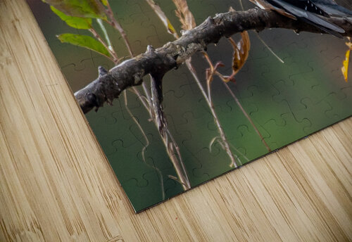 DSC 3223 Cloud Nine Photography puzzle