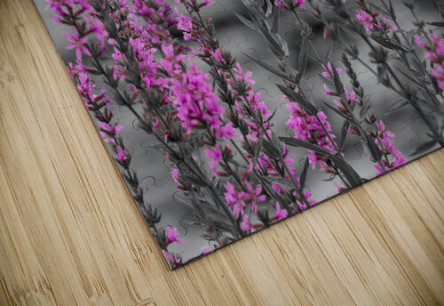 20210828  AAK0810 Cloud Nine Photography puzzle