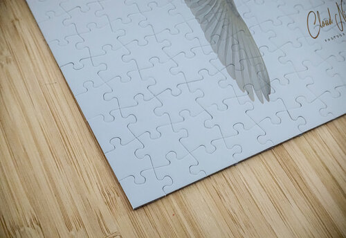 NHTI 9 Cloud Nine Photography puzzle