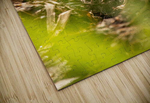 Quin4 9 Cloud Nine Photography puzzle