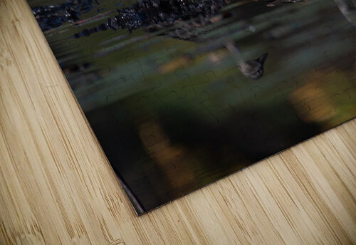 TLP 2019 Cloud Nine Photography puzzle