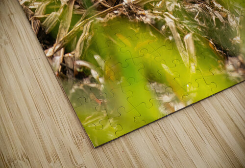 Quin4 8 Cloud Nine Photography puzzle
