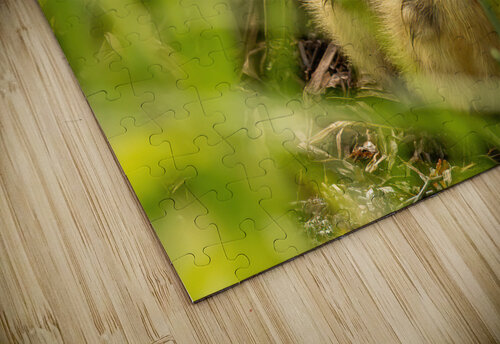 Quin4 10 Cloud Nine Photography puzzle