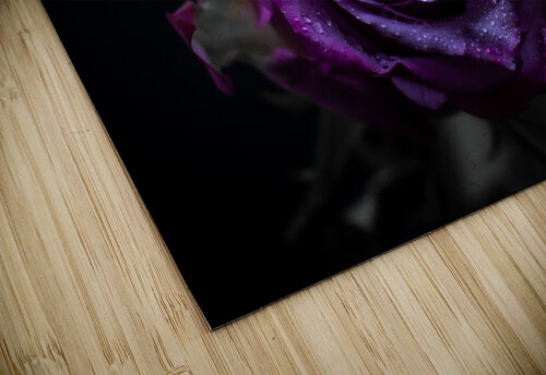 Purple Rose 3 Cloud Nine Photography puzzle