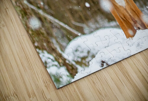 Michelle 12 Cloud Nine Photography puzzle