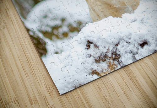 Michelle 9 Cloud Nine Photography puzzle