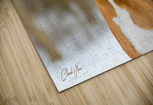 Michelle 13 Cloud Nine Photography puzzle