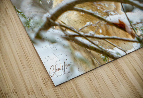 Michelle 17 Cloud Nine Photography puzzle