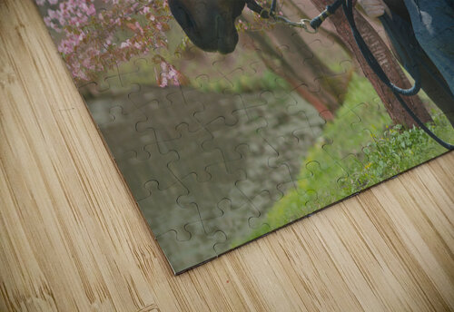 Benny 3 Cloud Nine Photography puzzle
