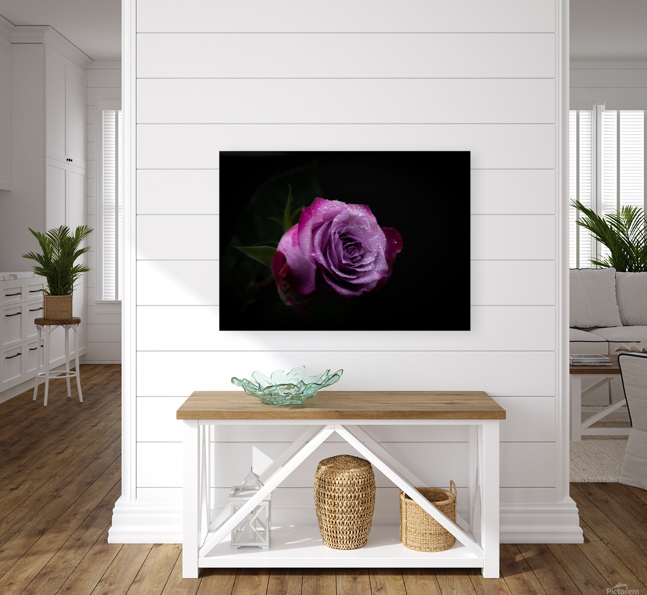 Purple Rose 7 Reproduction