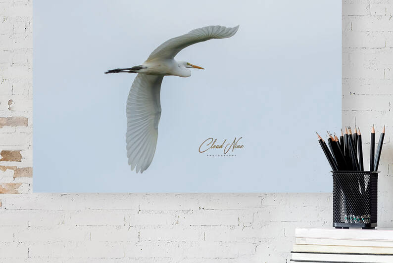 NHTI 9 by Cloud Nine Photography