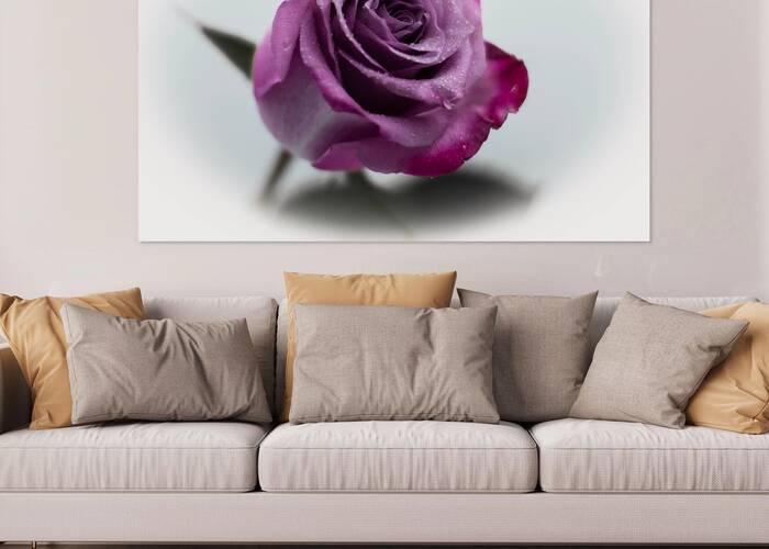 Purple Rose 9 Reproduction