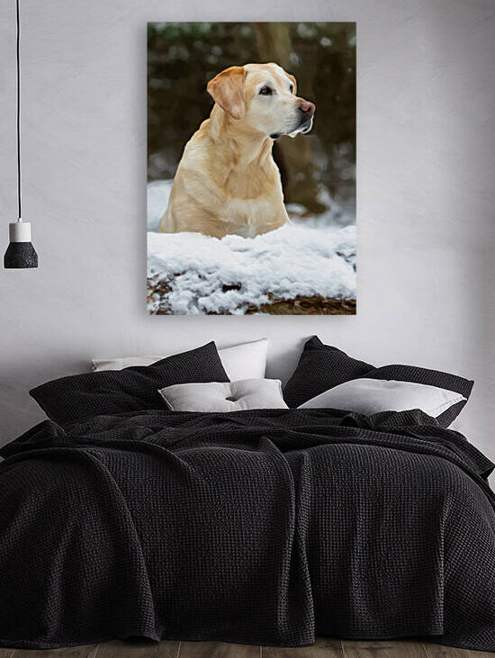 WelkerPaint by Cloud Nine Photography