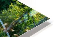 ANP Bridge HD Metal print