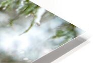 Michelle 17 HD Metal print