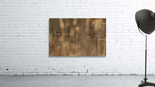 WoodDuck Wall Preview