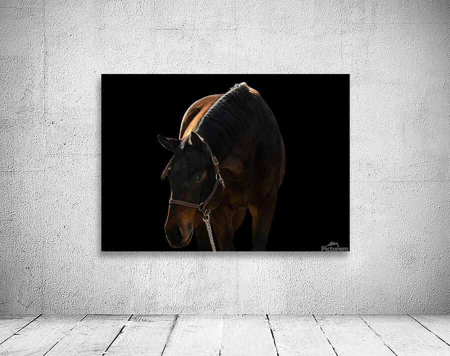 TTF Fall 14 Wall Preview