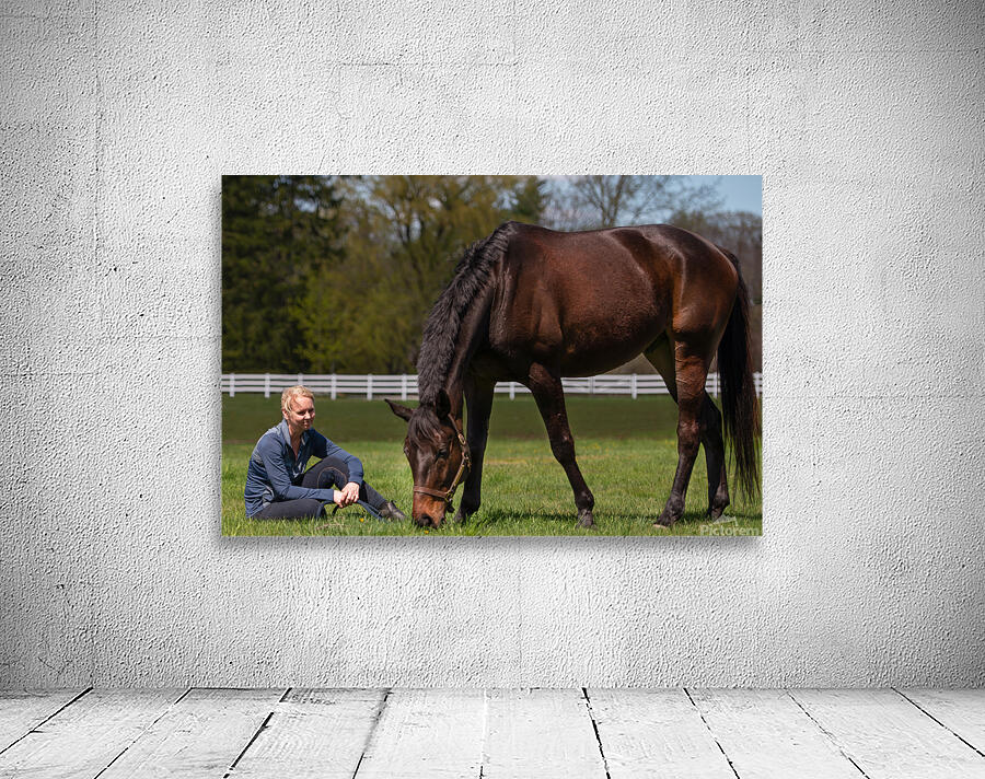 Benny 4 Wall Preview