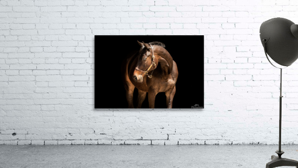 Benny 6 Wall Preview