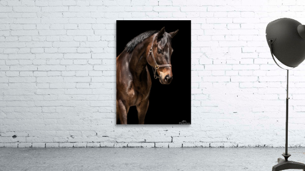 Benny 5 Wall Preview