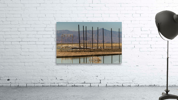 Wild Bedframe Wall Preview