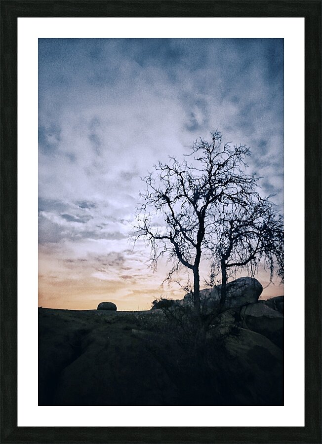 HAUNTED DAWN Picture Frame print