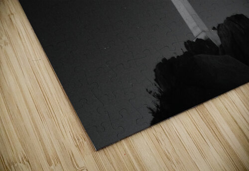 The Call Adrian500 puzzle