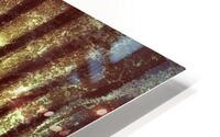 ROBO 138 HD Metal print