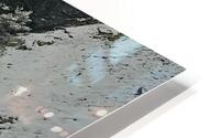 Winter Wonderland  HD Metal print