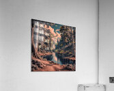 High-Resolution Outputs: Ensure the AI tool you use can produce high-resolution images suitable for large prints. Acrylic Print