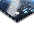 IMG 2426 Acrylic print