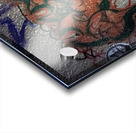 IMG 4748 Acrylic print