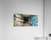 IMG 4933 Acrylic Print