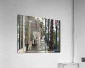 IMG 4839 Acrylic Print