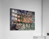 IMG 4748 Acrylic Print